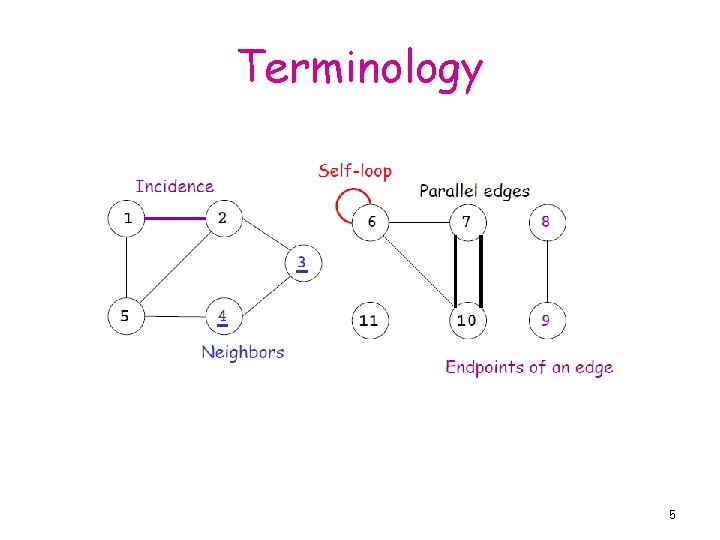 Terminology 5 