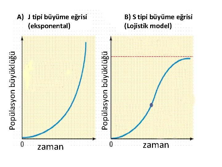 B) S tipi büyüme eğrisi (Lojistik model) Popülasyon büyüklüğü A) J tipi büyüme eğrisi