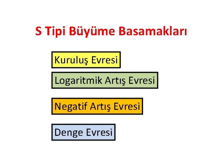 S Tipi Büyüme Basamakları Kuruluş Evresi Logaritmik Artış Evresi Negatif Artış Evresi Denge Evresi