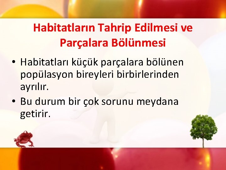 Habitatların Tahrip Edilmesi ve Parçalara Bölünmesi • Habitatları küçük parçalara bölünen popülasyon bireyleri birbirlerinden