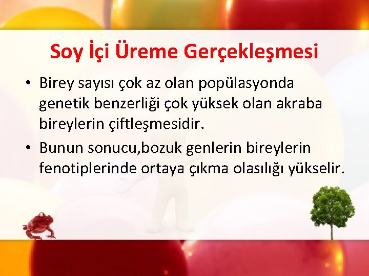 Soy İçi Üreme Gerçekleşmesi • Birey sayısı çok az olan popülasyonda genetik benzerliği çok