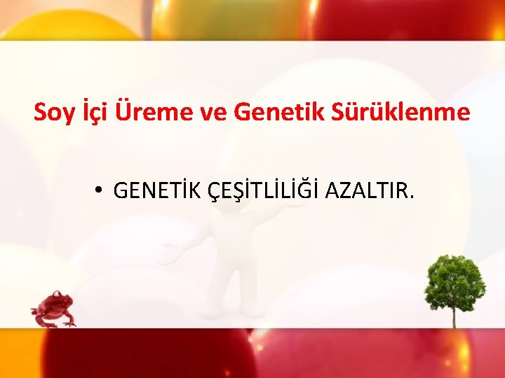 Soy İçi Üreme ve Genetik Sürüklenme • GENETİK ÇEŞİTLİLİĞİ AZALTIR. 