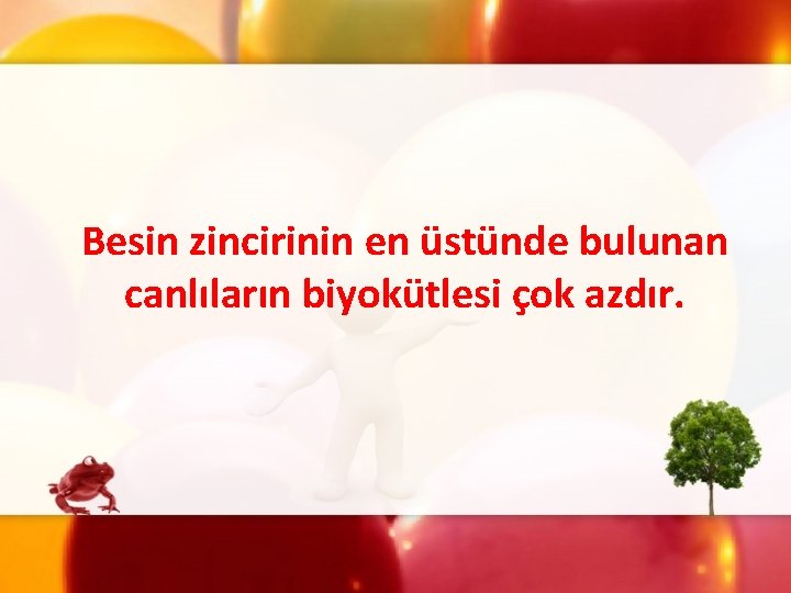 Besin zincirinin en üstünde bulunan canlıların biyokütlesi çok azdır. 