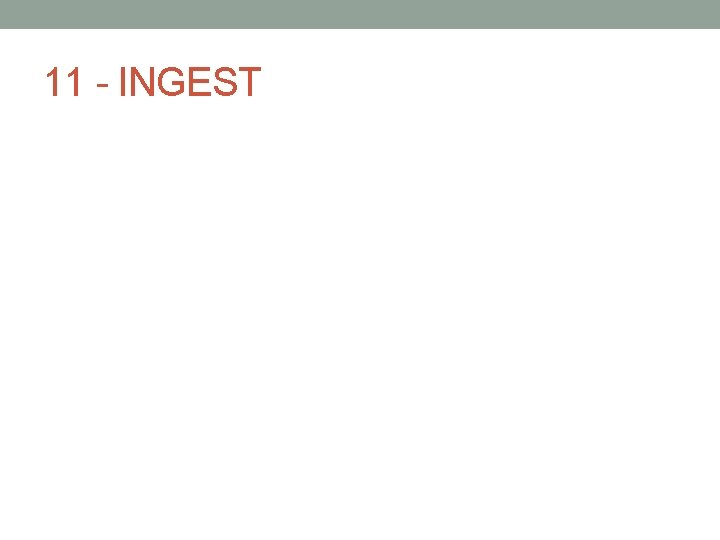 11 - INGEST 