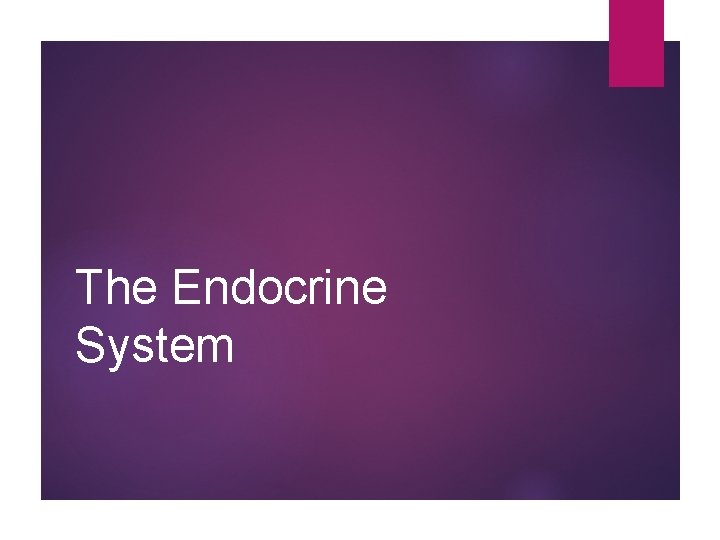 The Endocrine System 