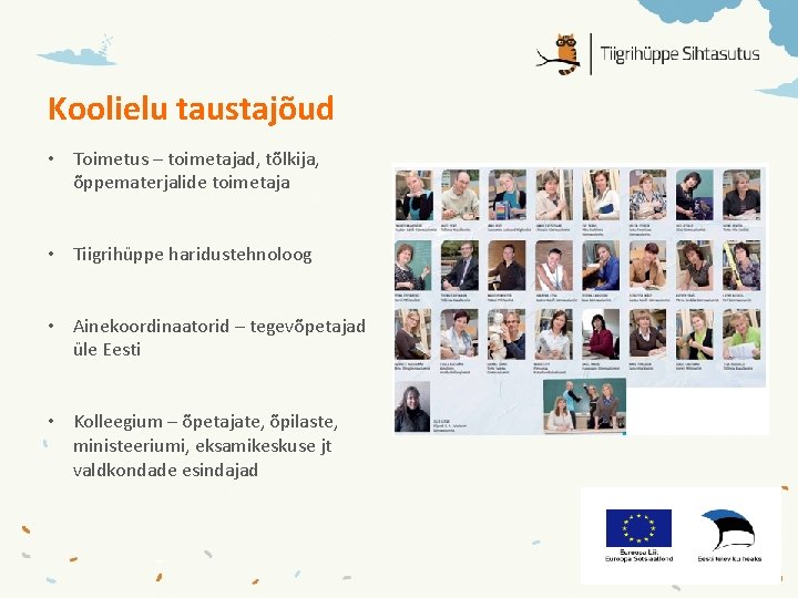 Koolielu taustajõud • Toimetus – toimetajad, tõlkija, õppematerjalide toimetaja • Tiigrihüppe haridustehnoloog • Ainekoordinaatorid