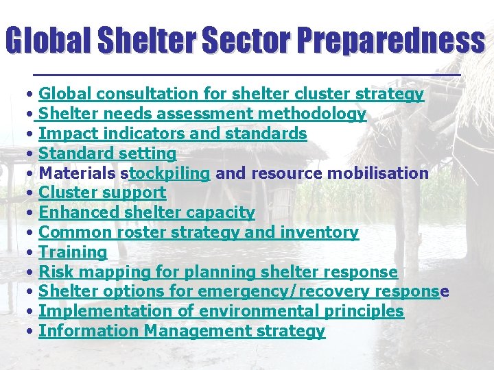 Global Shelter Sector Preparedness ______________ • Global consultation for shelter cluster strategy • Shelter