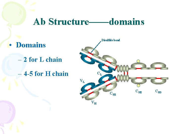 Ab Structure——domains Disulfide bond • Domains – 2 for L chain – 4 -5