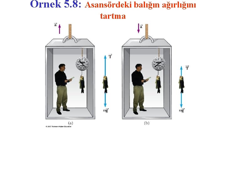 Örnek 5. 8: Asansördeki balığın ağırlığını tartma 