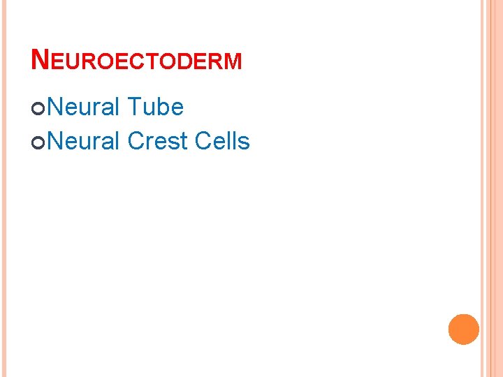 NEUROECTODERM Neural Tube Neural Crest Cells 