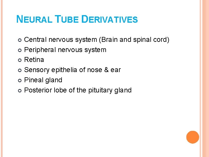 NEURAL TUBE DERIVATIVES Central nervous system (Brain and spinal cord) Peripheral nervous system Retina