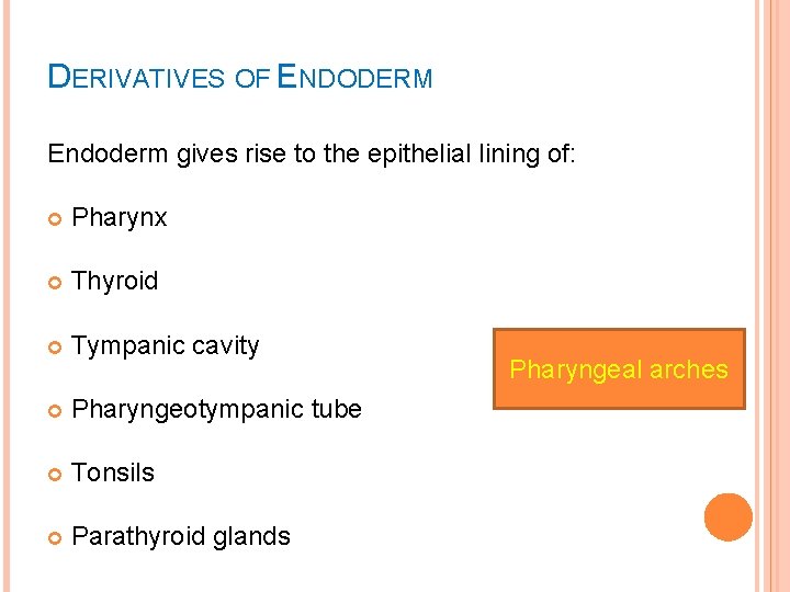 DERIVATIVES OF ENDODERM Endoderm gives rise to the epithelial lining of: Pharynx Thyroid Tympanic
