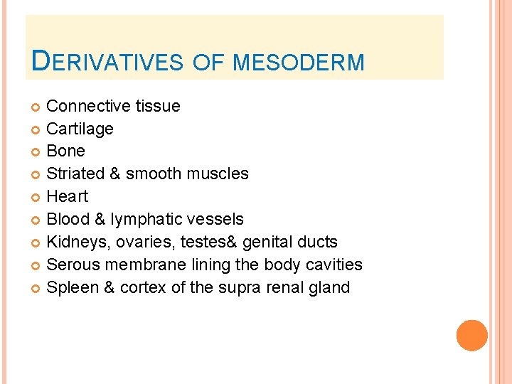 DERIVATIVES OF MESODERM Connective tissue Cartilage Bone Striated & smooth muscles Heart Blood &