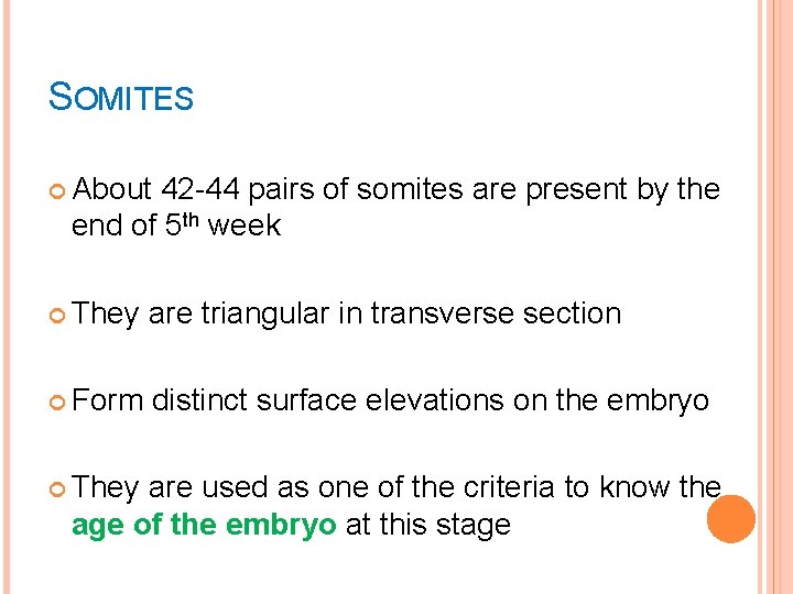 SOMITES About 42 -44 pairs of somites are present by the end of 5