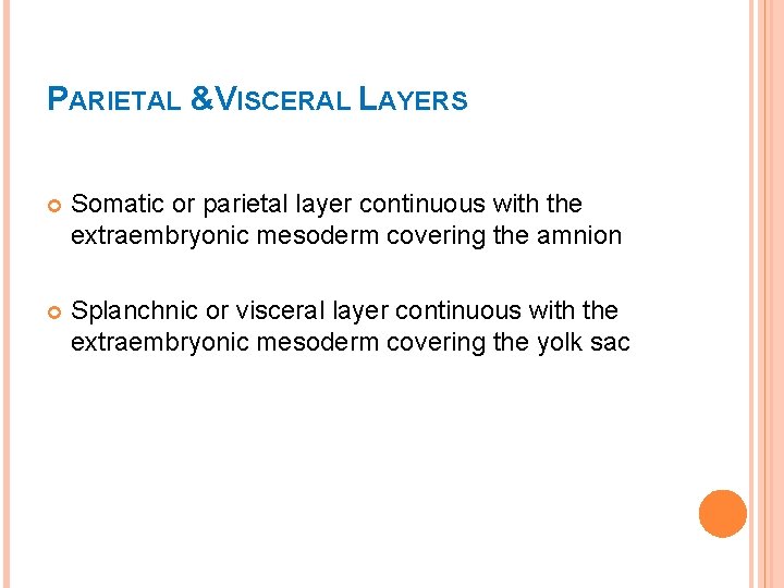 PARIETAL &VISCERAL LAYERS Somatic or parietal layer continuous with the extraembryonic mesoderm covering the