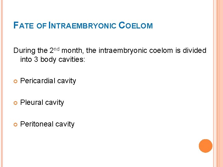 FATE OF INTRAEMBRYONIC COELOM During the 2 nd month, the intraembryonic coelom is divided