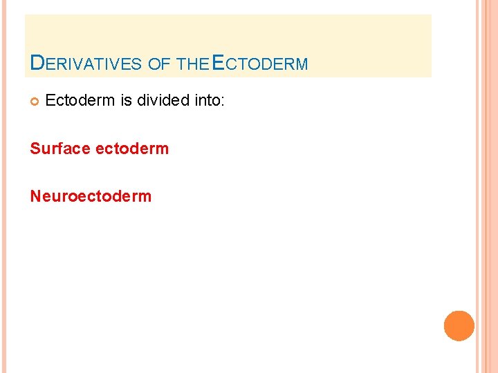 DERIVATIVES OF THE ECTODERM Ectoderm is divided into: Surface ectoderm Neuroectoderm 