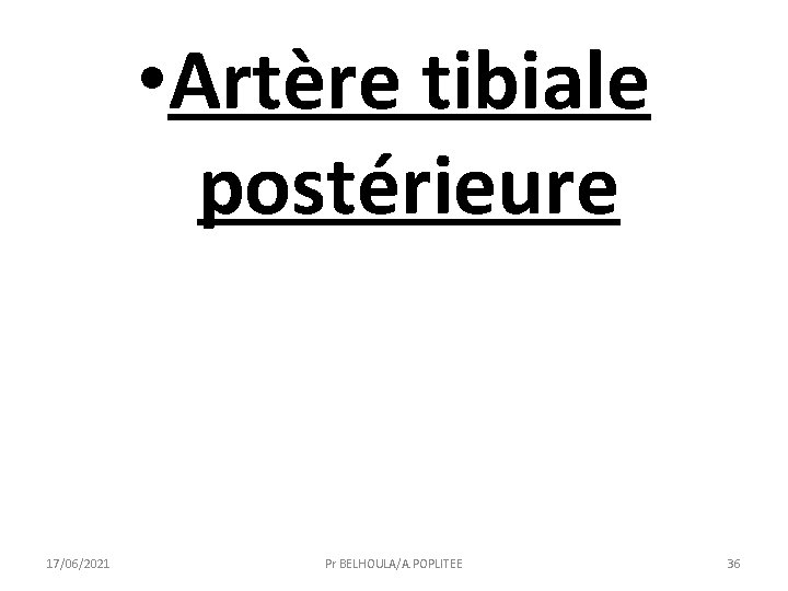  • Artère tibiale postérieure 17/06/2021 Pr BELHOULA/A. POPLITEE 36 