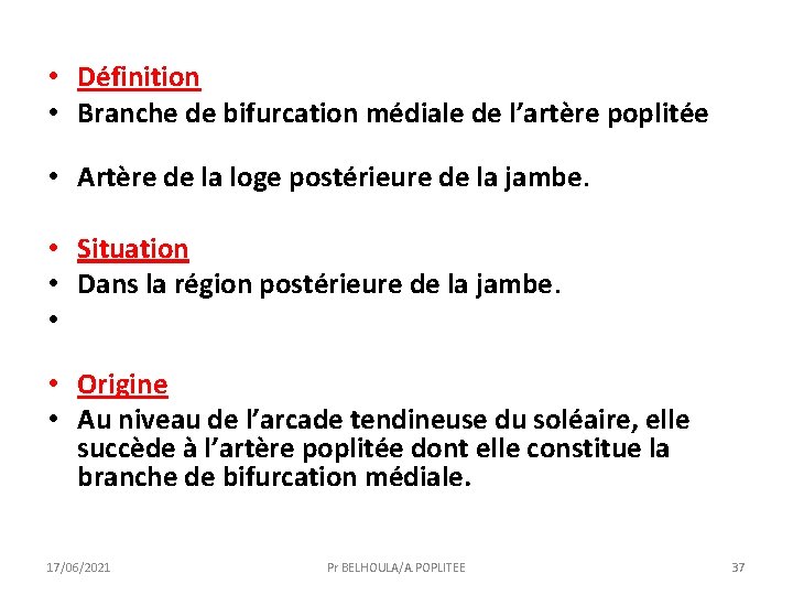  • Définition • Branche de bifurcation médiale de l’artère poplitée • Artère de