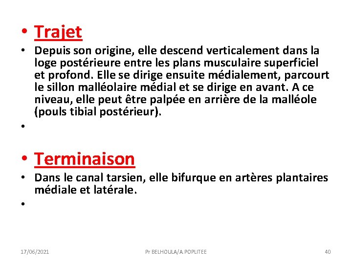  • Trajet • Depuis son origine, elle descend verticalement dans la loge postérieure