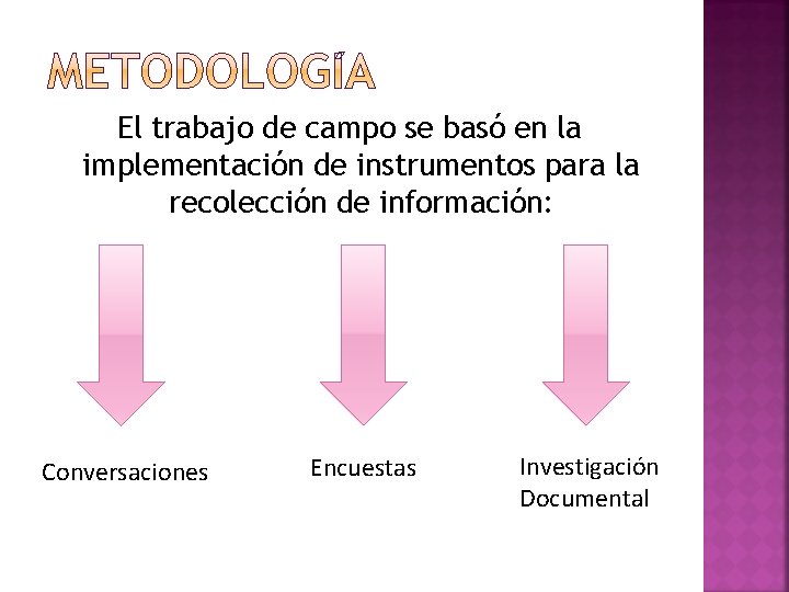 El trabajo de campo se basó en la implementación de instrumentos para la recolección