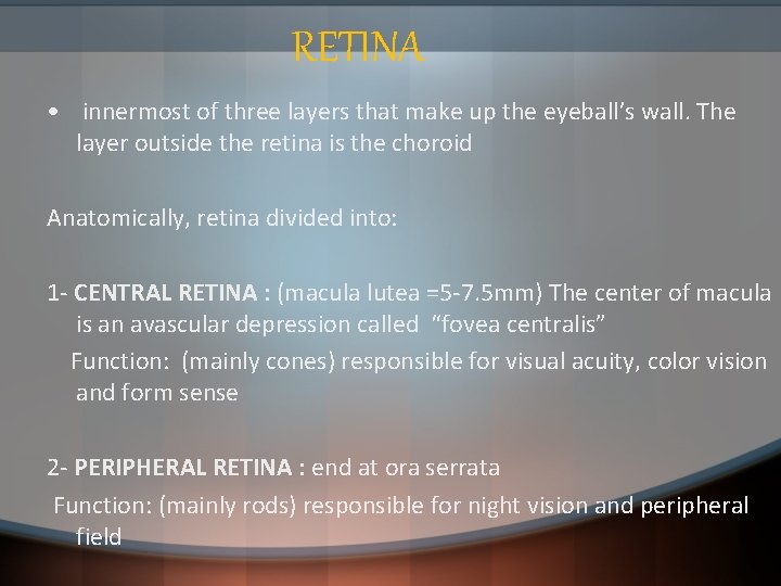 RETINA • innermost of three layers that make up the eyeball’s wall. The layer