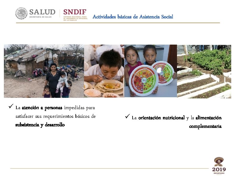 Actividades básicas de Asistencia Social ü La atención a personas impedidas para satisfacer sus