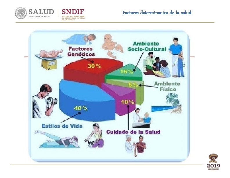 Factores determinantes de la salud 