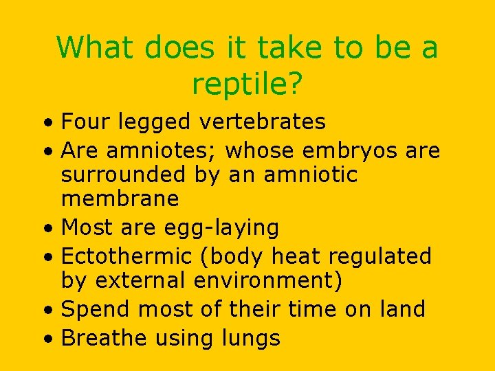 What does it take to be a reptile? • Four legged vertebrates • Are