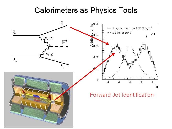 Calorimeters as Physics Tools Forward Jet Identification 