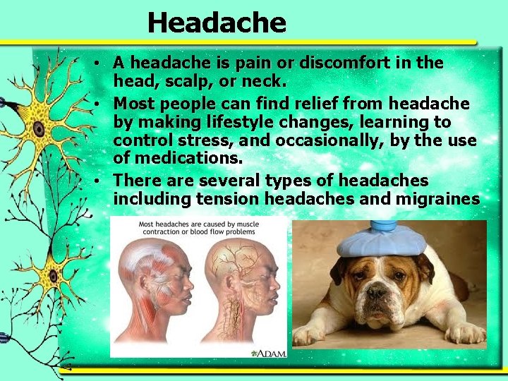Headache • A headache is pain or discomfort in the head, scalp, or neck.