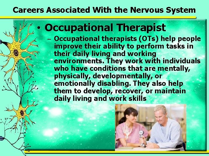 Careers Associated With the Nervous System • Occupational Therapist – Occupational therapists (OTs) help