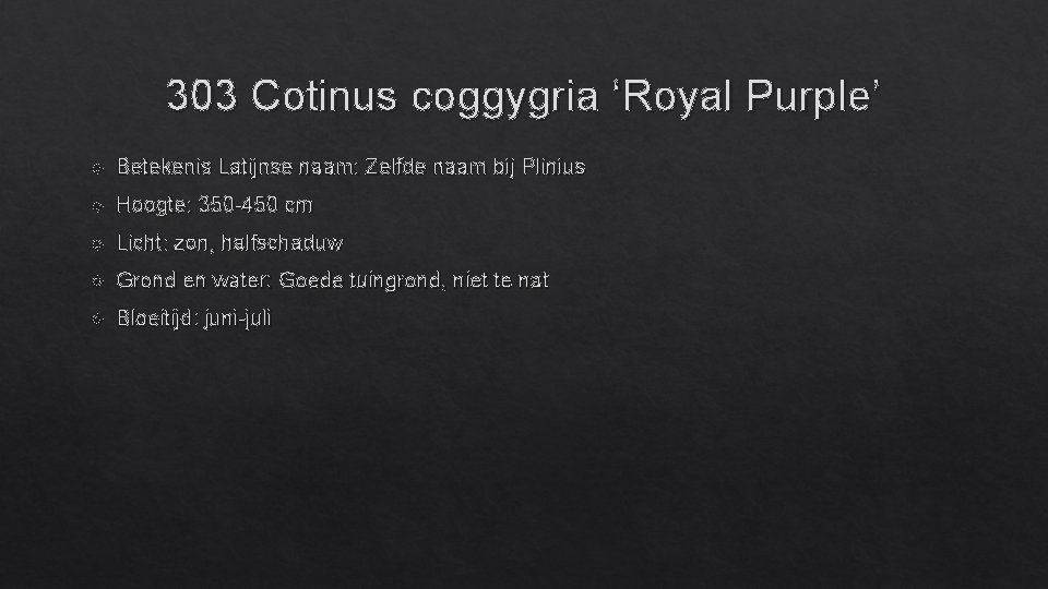 303 Cotinus coggygria ‘Royal Purple’ Betekenis Latijnse naam: Zelfde naam bij Plinius Hoogte: 350