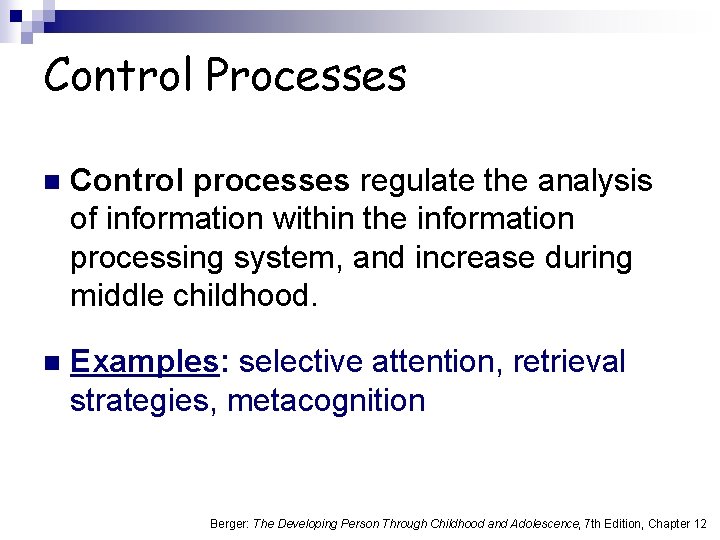 Control Processes n Control processes regulate the analysis of information within the information processing