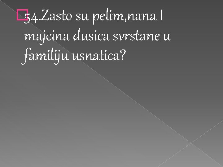 � 54. Zasto su pelim, nana I majcina dusica svrstane u familiju usnatica? � 54. Zasto su pelim, nana I majcina dusica svrstane u familiju usnatica?