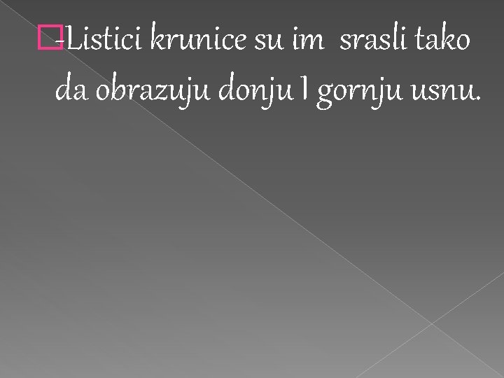 �-Listici krunice su im srasli tako da obrazuju donju I gornju usnu. �-Listici krunice su im srasli tako da obrazuju donju I gornju usnu.