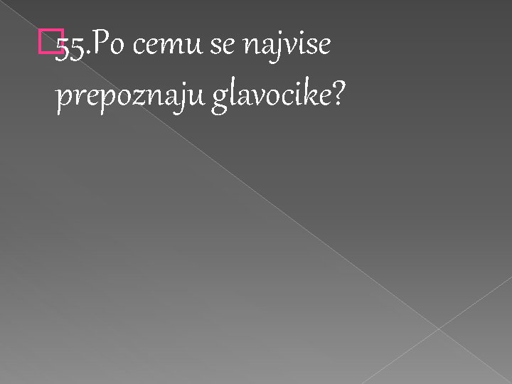 � 55. Po cemu se najvise prepoznaju glavocike? 