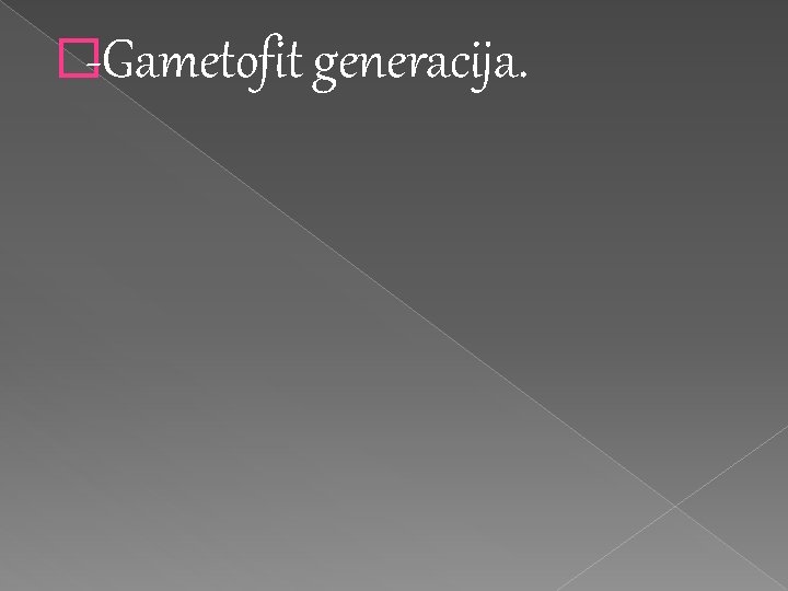 �-Gametofit generacija. �-Gametofit generacija.