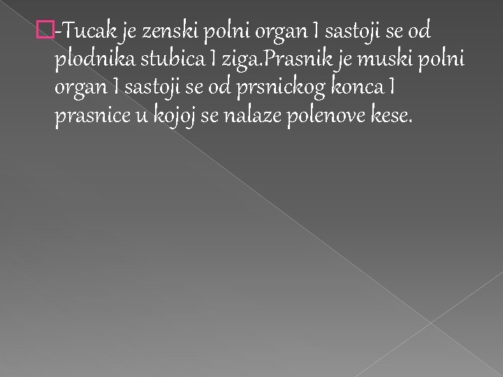 �-Tucak je zenski polni organ I sastoji se od plodnika stubica I ziga. Prasnik �-Tucak je zenski polni organ I sastoji se od plodnika stubica I ziga. Prasnik