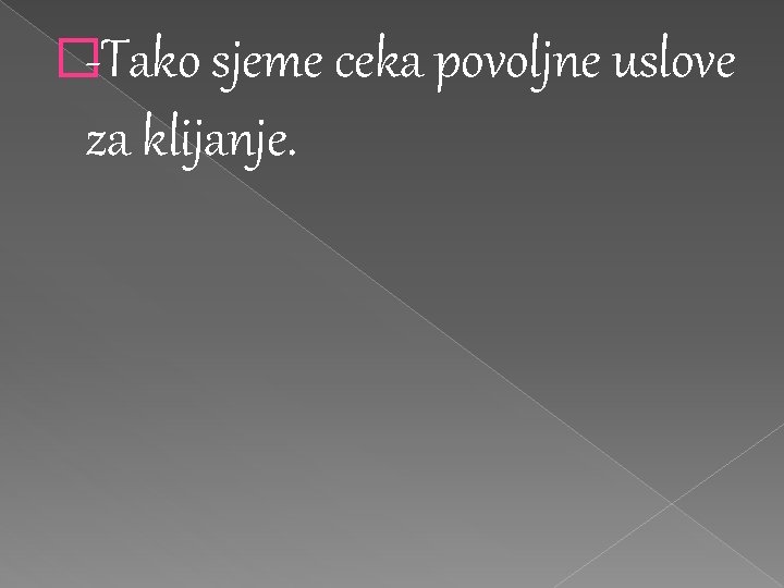 �-Tako sjeme ceka povoljne uslove za klijanje. �-Tako sjeme ceka povoljne uslove za klijanje.