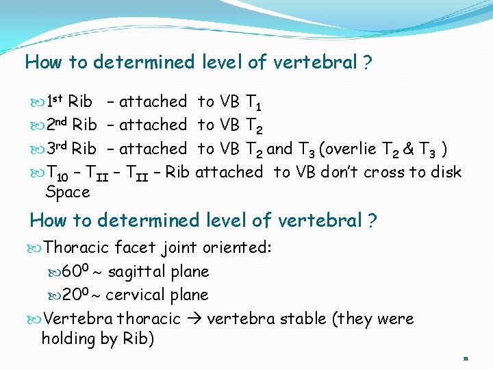 How to determined level of vertebral ? 1 st Rib – attached 2 nd
