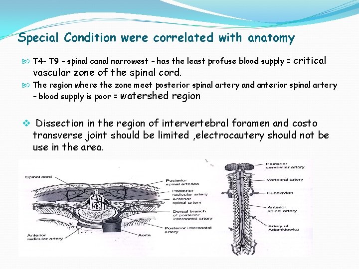 Special Condition were correlated with anatomy T 4 - T 9 – spinal canal