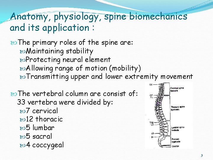 Anatomy, physiology, spine biomechanics and its application : The primary roles of the spine