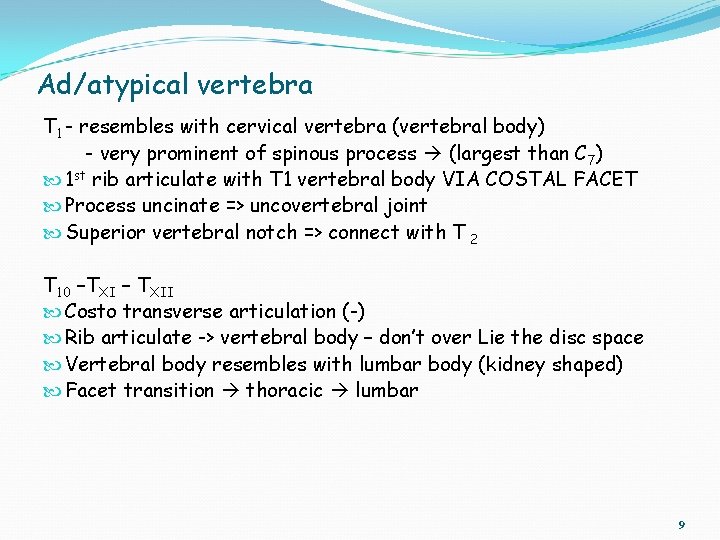Ad/atypical vertebra T 1 - resembles with cervical vertebra (vertebral body) - very prominent