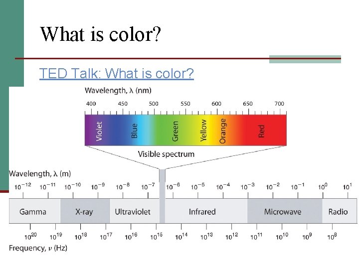 What is color? TED Talk: What is color? 