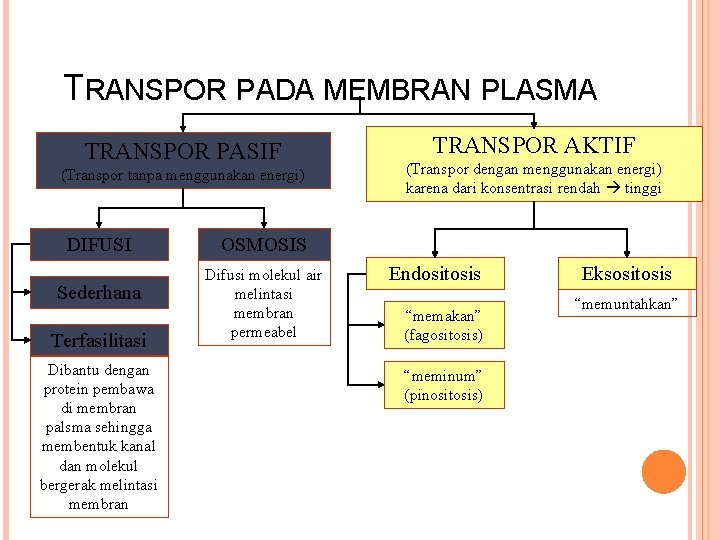 TRANSPOR PADA MEMBRAN PLASMA TRANSPOR PASIF (Transpor tanpa menggunakan energi) DIFUSI Sederhana Terfasilitasi Dibantu