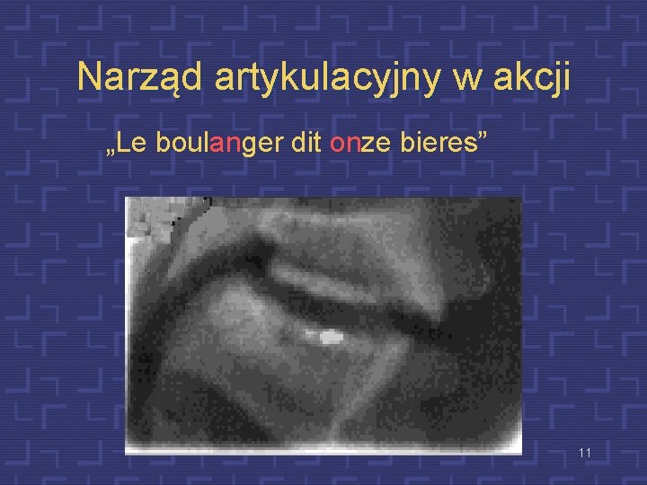 Narząd artykulacyjny w akcji „Le boulanger dit onze bieres” 11 