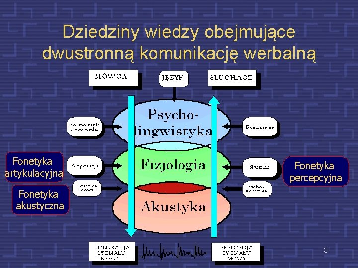 Dziedziny wiedzy obejmujące dwustronną komunikację werbalną Fonetyka artykulacyjna Fonetyka percepcyjna Fonetyka akustyczna 3 