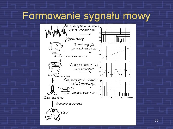 Formowanie sygnału mowy 36 