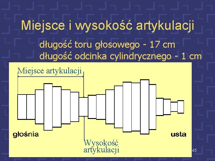 Miejsce i wysokość artykulacji długość toru głosowego - 17 cm długość odcinka cylindrycznego -